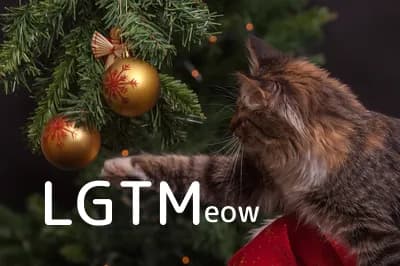 LGTM image