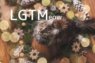 LGTM image