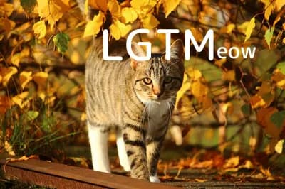 LGTM image
