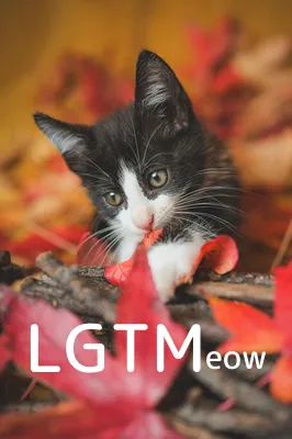 LGTM image