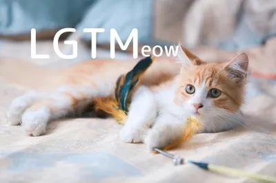 LGTM image
