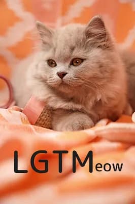 LGTM image