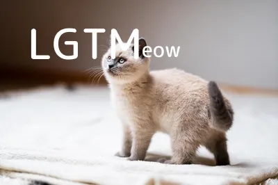 LGTM image
