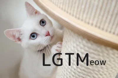 LGTM image