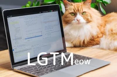 LGTM image
