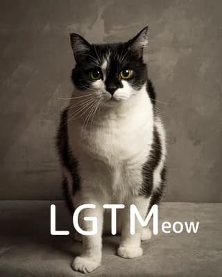 LGTM image