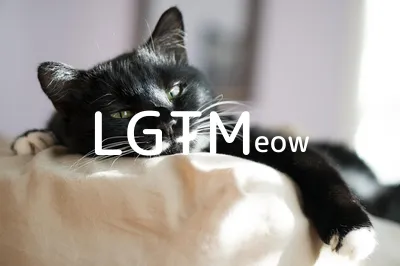 LGTM image