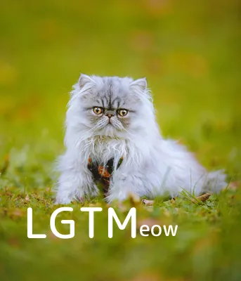 LGTM image