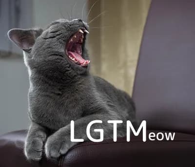 LGTM image