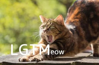 LGTM image