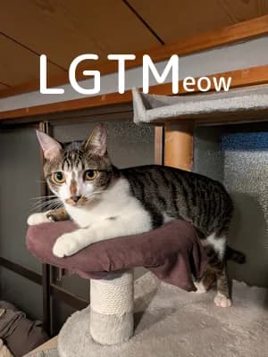 LGTM image