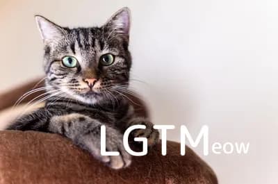 LGTM image