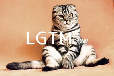 LGTM image