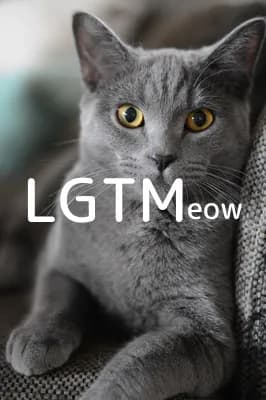 LGTM image