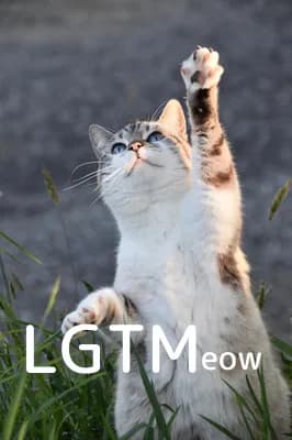 LGTM image