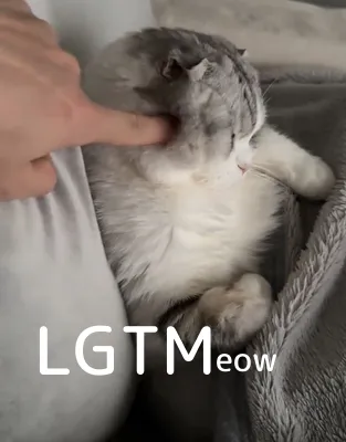 LGTM image