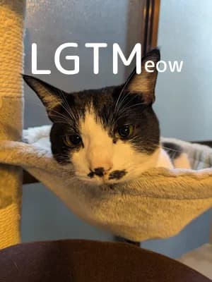 LGTM image