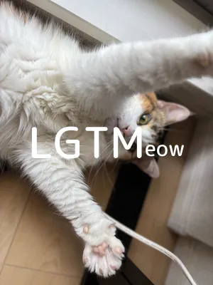 LGTM image