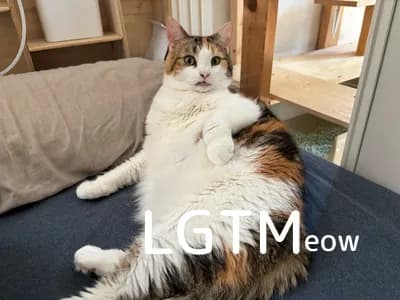 LGTM image