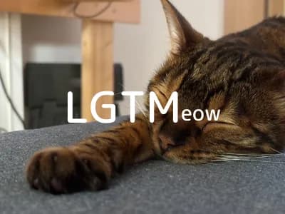 LGTM image