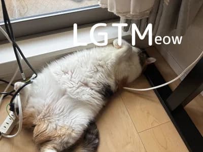 LGTM image