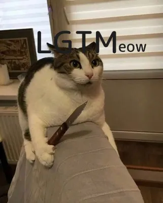 LGTM image
