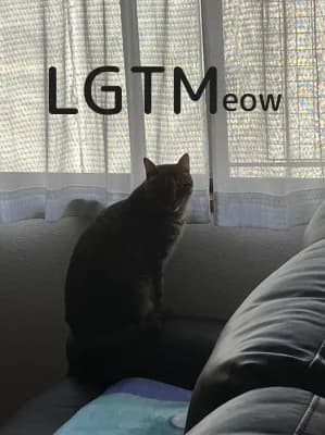LGTM image