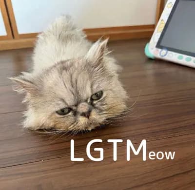 LGTM image