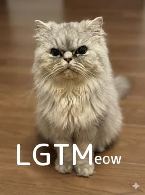 LGTM image