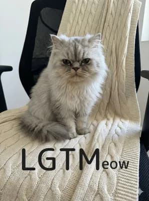 LGTM image