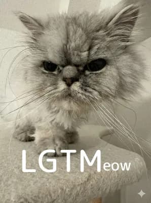 LGTM image