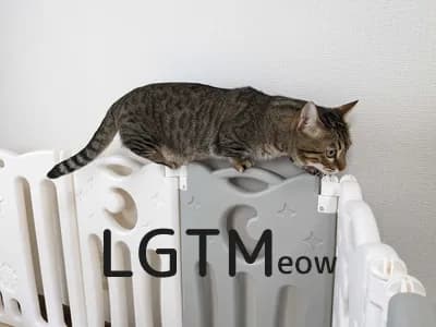 LGTM image