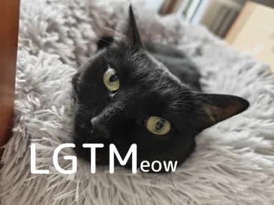 LGTM image