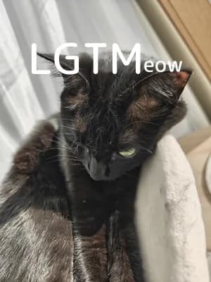 LGTM image