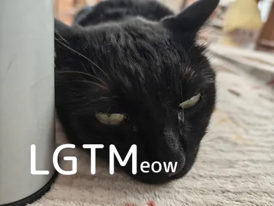 LGTM image