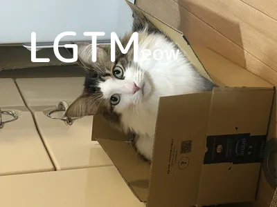 LGTM image