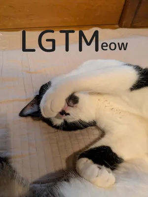 LGTM image