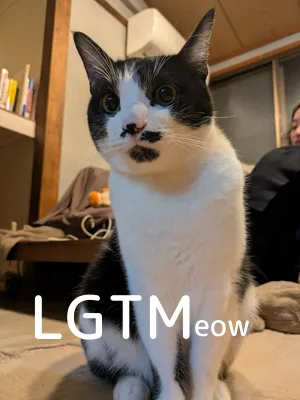 LGTM image