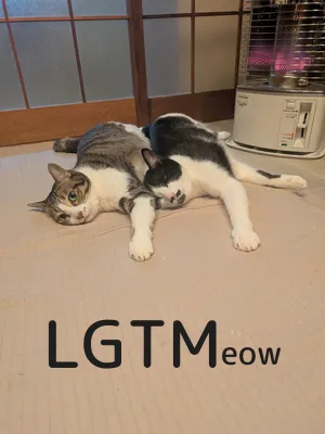 LGTM image