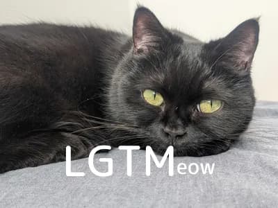 LGTM image