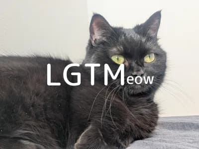 LGTM image
