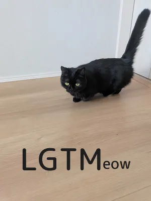 LGTM image