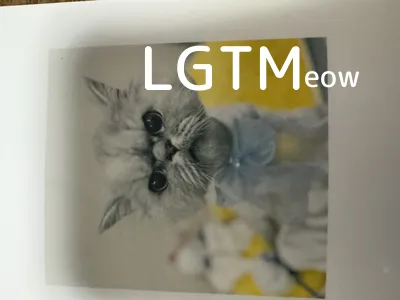 LGTM image