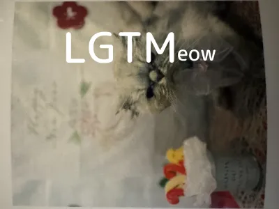 LGTM image