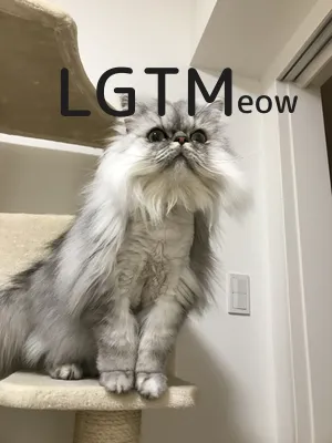 LGTM image