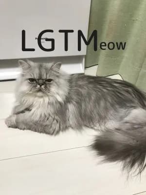 LGTM image