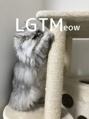LGTM image