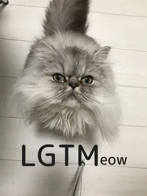 LGTM image