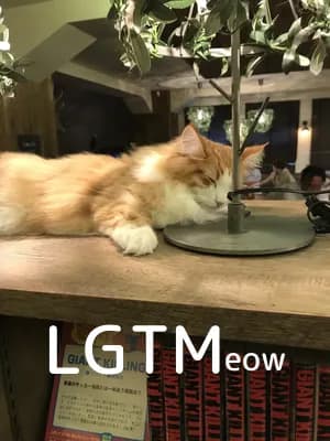 LGTM image
