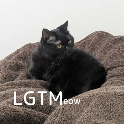 LGTM image